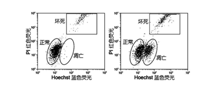 Hoechst 33342/PI双染试剂盒-细胞凋亡检测-细胞生物学