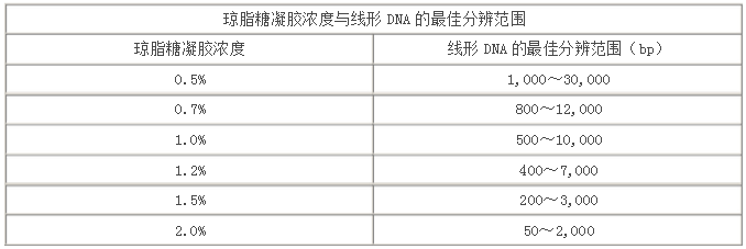 核酸電泳操作步驟