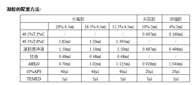 预染超低分子量蛋白质Marker（3.3kD-31.0kD)-蛋白电泳/marker-蛋白与免疫