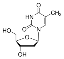 胸腺嘧啶核苷