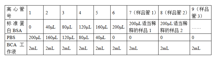 BCA蛋白浓度测定试剂盒500微孔(50T)-蛋白提取/定量-蛋白与免疫