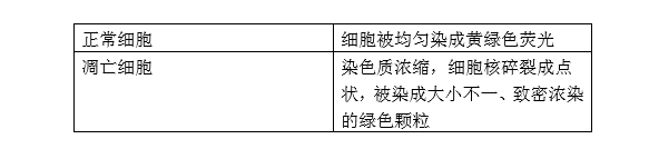 AO染色液(1mg/ml)-染料/染色剂