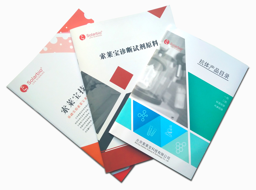 CACLP春季會(huì)議