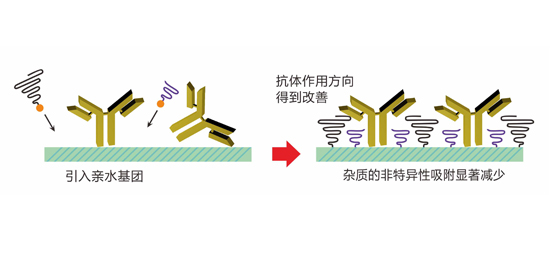 NHS磁珠 Mag NHS_磁珠_分子生物学