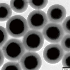 Magrose-OH 羟基磁珠 粒径30-100μm _磁珠_分子生物学