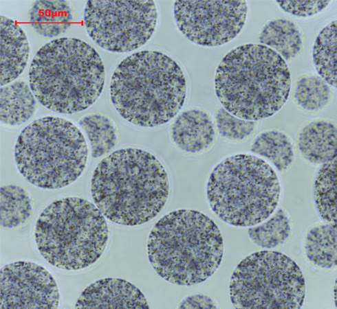 Mag COOH 羧基磁珠 粒径65μm   _磁珠_分子生物学