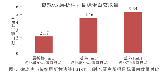 GST融合蛋白纯化磁珠_磁珠_分子生物学